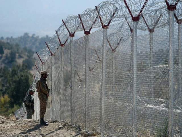 pakistani soldiers keep vigil next to newly fenced border fencing along with afghan s paktika province border in angoor adda in south waziristan photo afp pakistani soldiers keep vigil next to newly fenced border fencing along with afghan s paktika province border in angoor adda in south waziristan photo afp