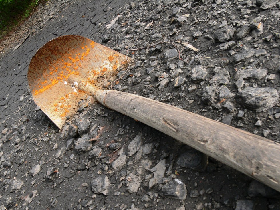 law enforcement personnel cordon off the area begin exhuming the bodies photo file