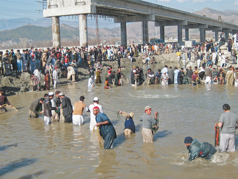 hundreds flocked to the river swat with nets to catch the dying fish photo sherinzada express