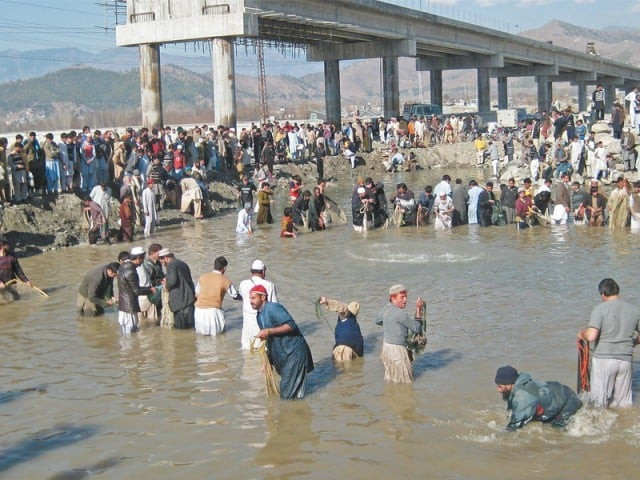 thousands of fish remained floating in river swat after a pool connected to the river swat was contaminated by using toxic chemicals to hunt fish photo sherinzada express thousands of fish remained floating in river swat after a pool connected to the river swat was contaminated by using toxic chemicals to hunt fish photo sherinzada express