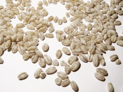 agriculture oil seeds pulses are cash crops