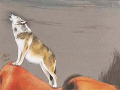 color gallery an eye opening experience