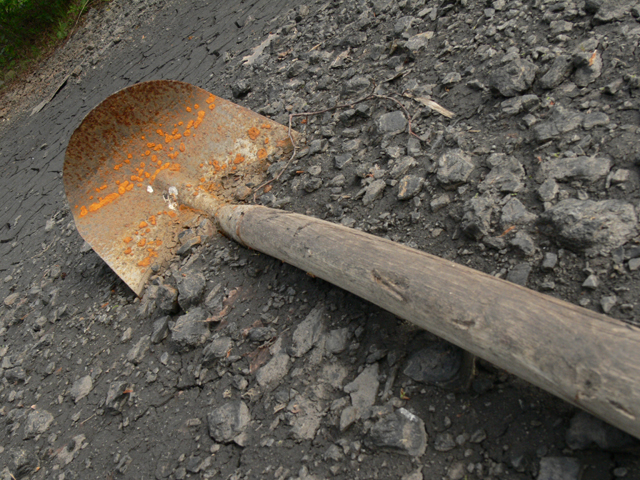 discovery of mass grave echoes in the house photo file