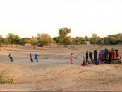 sand swept thar receives over 300mm rain