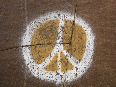 pakistan ulema council observes peace day