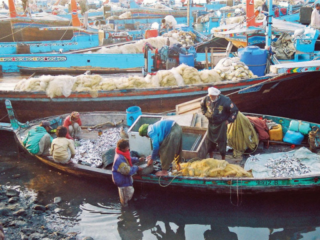 port facilities are necessary for increase in seafood production photo arif soomro express port facilities are necessary for increase in seafood production photo arif soomro express