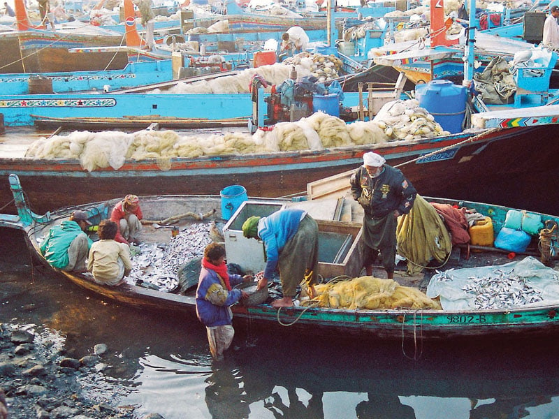 port facilities are necessary for increase in seafood production photo arif soomro express