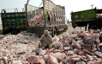 customs gives directives for smooth salt export