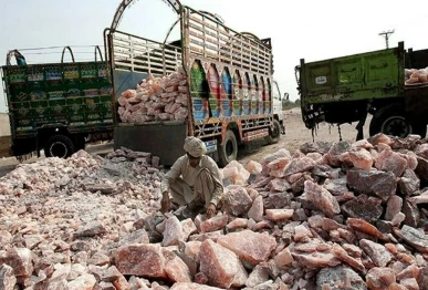 customs gives directives for smooth salt export