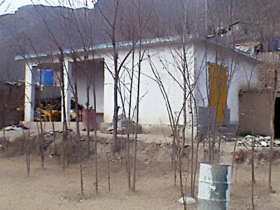 illegal occupation dysfunctional dispensary now houses influential local