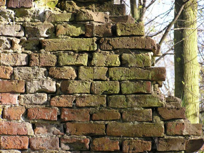 fatal falls six killed 100 injured in seminary roof collapse fatal falls six killed 100 injured in seminary roof collapse