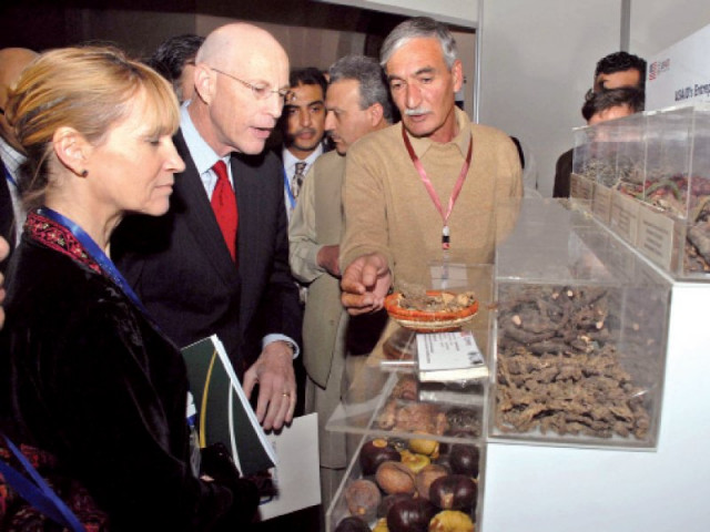 usaid mission director gregory gottlieb is being briefed about various medicinal plants on display photo express usaid mission director gregory gottlieb is being briefed about various medicinal plants on display photo express