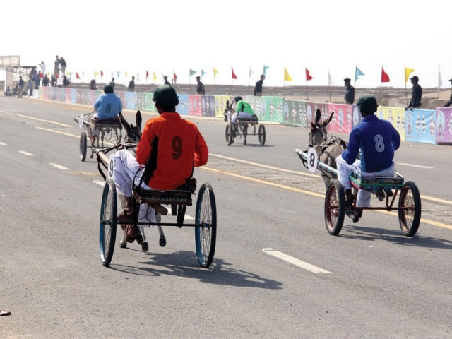 the donkey derby proved to be a popular event with the participants who once used to have two races every month photo ayesha mir express the donkey derby proved to be a popular event with the participants who once used to have two races every month photo ayesha mir express