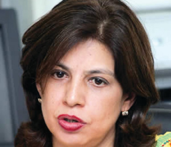 foreign office spokesperson tasnim aslam photo file foreign office spokesperson tasnim aslam photo file
