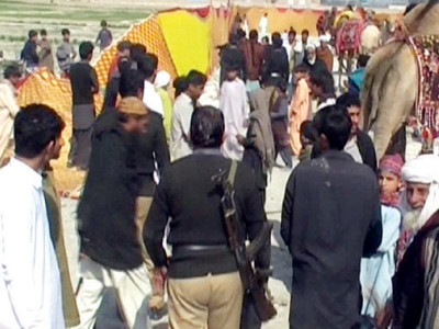 animal rights and wrongs police raid illegal camel festival in dera ghazi khan