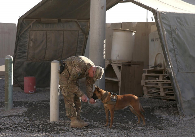 file photo showing a us soldier giving his guard dog water at the kandahar air base photo reuters file photo showing a us soldier giving his guard dog water at the kandahar air base photo reuters