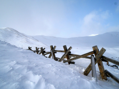 saved by neighbours family trapped under avalanche finally rescued