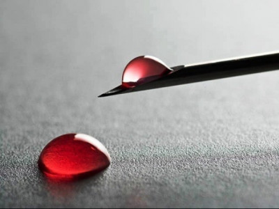 when arts and literature mix with one s blood