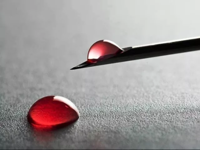 when arts and literature mix with one s blood photo file when arts and literature mix with one s blood photo file