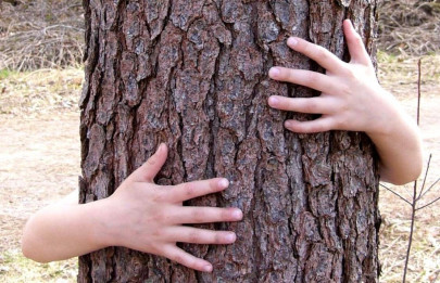 environment friendly uaf 35th among green universities environment friendly uaf 35th among green universities