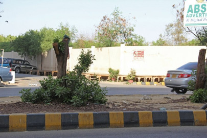 despite a high rate of environmental wrongs sindh lacks a green court