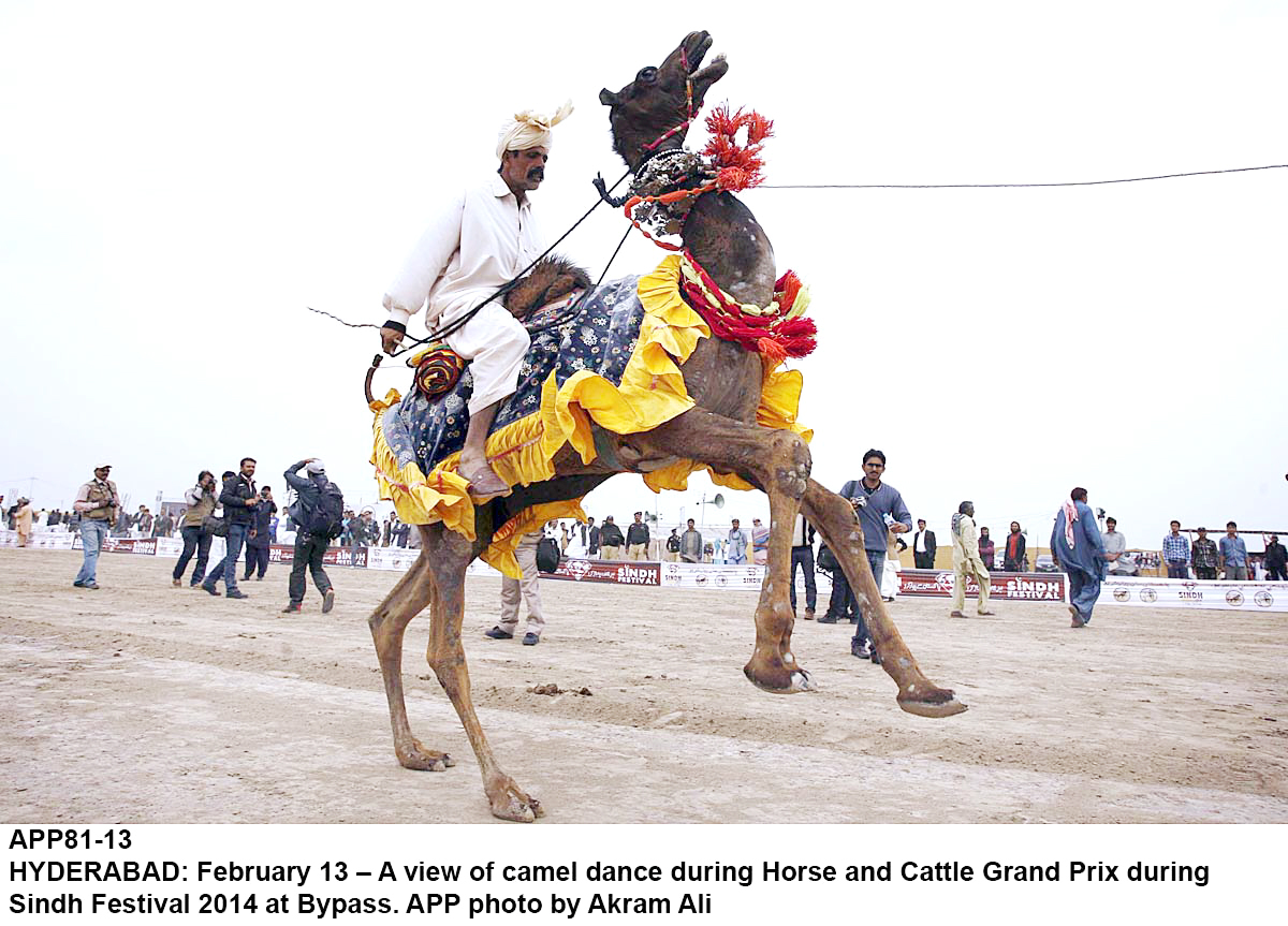 Updated Feb 14, 2014