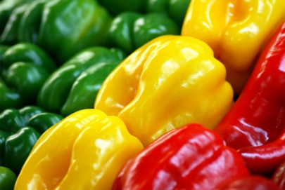 my kingdom for some capsicum farmers clamour for bell pepper crop facilitation