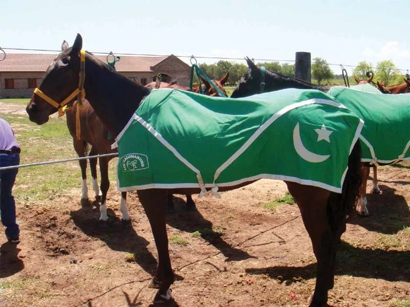 tent pegging competition horse show from today photo express