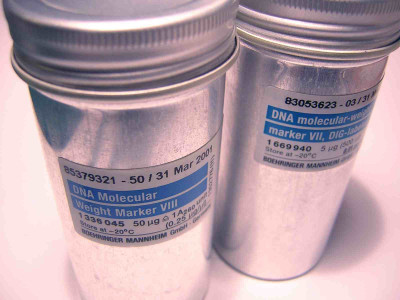 sexual assault medical evidence is strong enough to silence a person guilty of rape