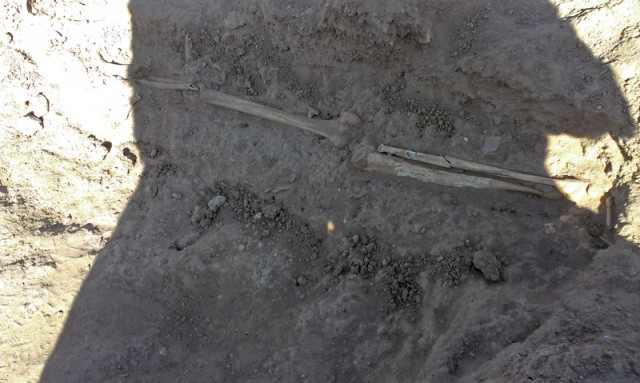 the team found three human skeletons during the excavation in bhanbhore the bodies had been buried systematically in a room dispelling the earlier notions that the site had been destroyed by a natural disaster photos courtesy curator the team found three human skeletons during the excavation in bhanbhore the bodies had been buried systematically in a room dispelling the earlier notions that the site had been destroyed by a natural disaster photos courtesy curator