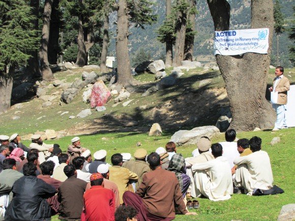 file photo showing acted 039 s nursery raising and plantation technology initiatives as part of relief programs in pakistan photo acted website