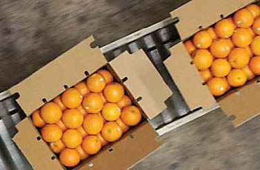 russian authorities agreed to partial lifting of the ban as a first step and allow import of citrus fruits into russia photo file