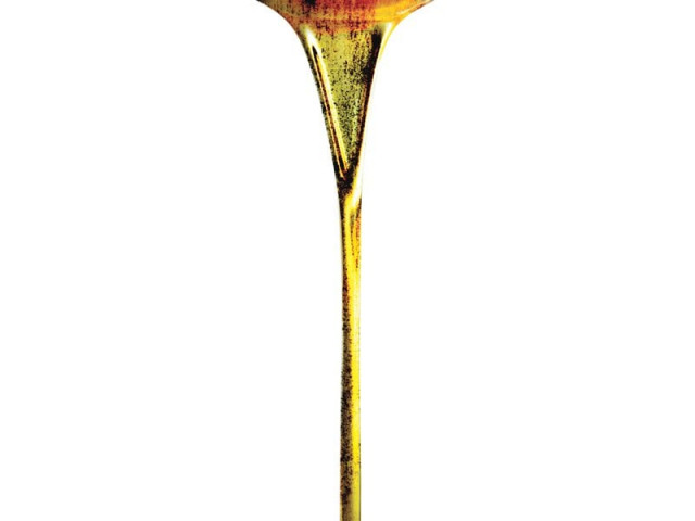 if we become self sufficient in edible oil we can not only save money but also earn heavy foreign exchange says uaf vice chancellor photo file if we become self sufficient in edible oil we can not only save money but also earn heavy foreign exchange says uaf vice chancellor photo file