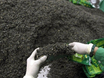 exploring reasons for the slide in tea import bill exploring reasons for the slide in tea import bill