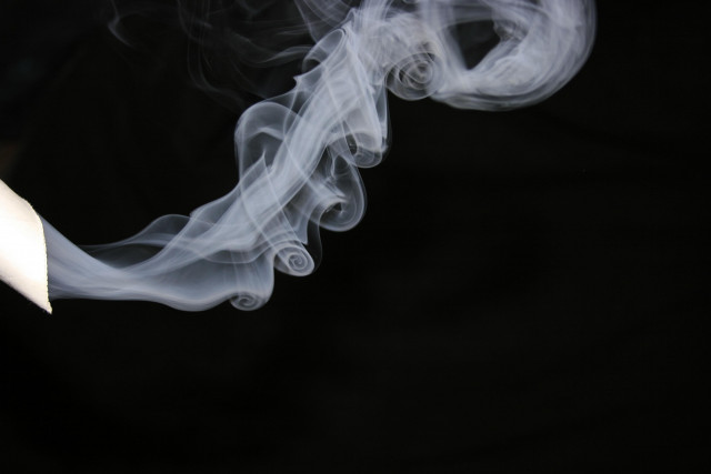 smoking was more common among bachelor s than master s degree students while none of the women indicated they smoked smoking was more common among bachelor s than master s degree students while none of the women indicated they smoked