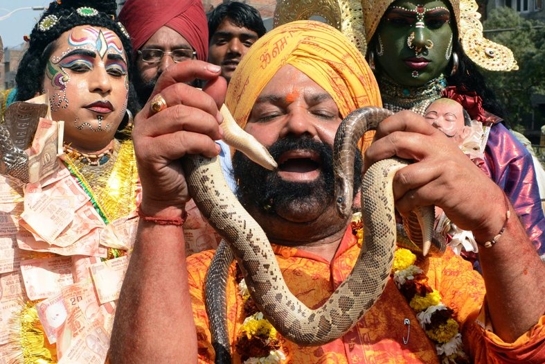 an indian sikh devotee holds a snake in a procession during the maha shivaratri festival in amritsar on march 10 2013 on the occasion of maha shivaratri photo afp