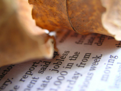 apex court order fate of temporary employees hangs in balance