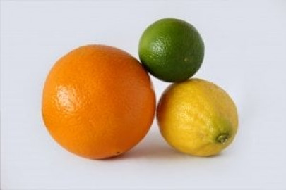 pakistan china scientists to combat citrus diseases pakistan china scientists to combat citrus diseases