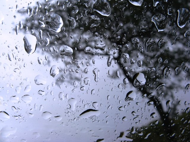 light rain coupled with cold winds brought the temperature down in the twin cities photo file