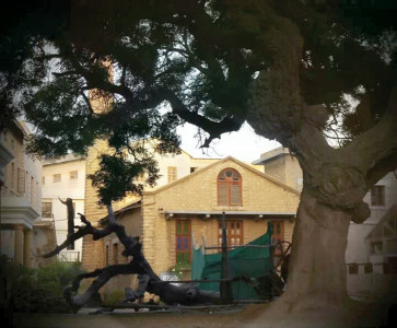 finding the artist within in debut exhibit ned students try to raise money finding the artist within in debut exhibit ned students try to raise money