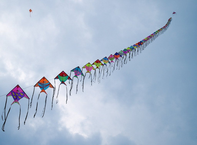 file photo of kites photo file file photo of kites photo file