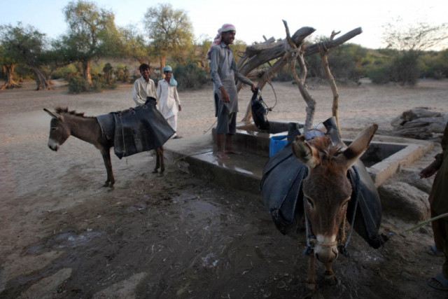 with moderate to low rainfall occurring until late september last year the government pushed the declaration of state of drought in thar and provision of relief was thus delayed photo express file