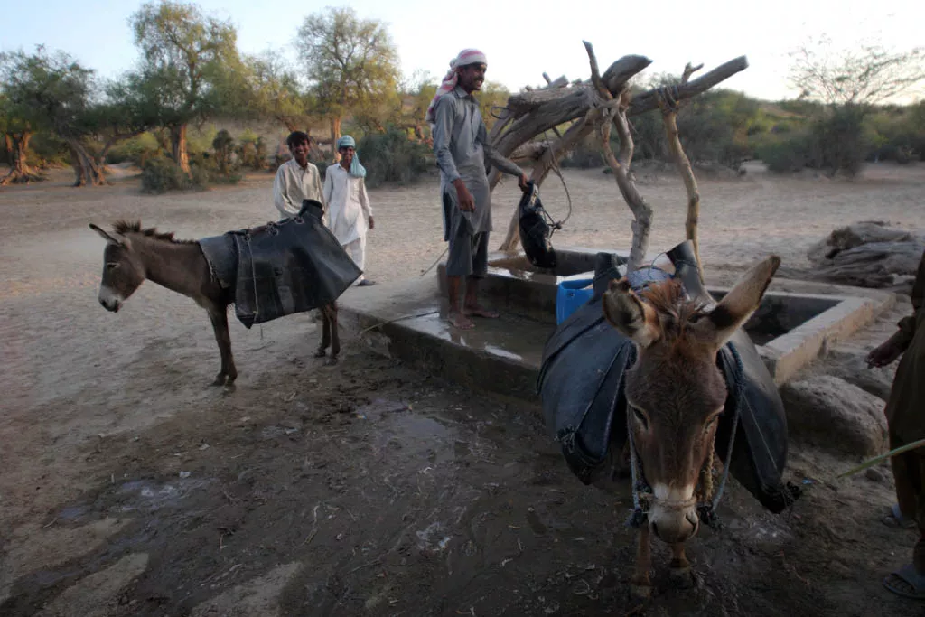 with moderate to low rainfall occurring until late september last year the government pushed the declaration of state of drought in thar and provision of relief was thus delayed photo express file with moderate to low rainfall occurring until late september last year the government pushed the declaration of state of drought in thar and provision of relief was thus delayed photo express file