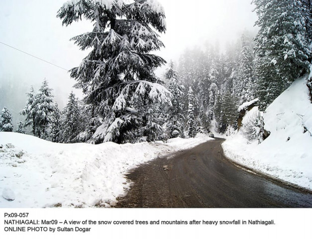 snow has blanketed mountains and trees in nathiagali heavy snowfall has also been experienced in shangla and kalam photo online snow has blanketed mountains and trees in nathiagali heavy snowfall has also been experienced in shangla and kalam photo online