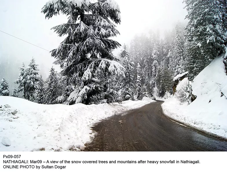 snow has blanketed mountains and trees in nathiagali heavy snowfall has also been experienced in shangla and kalam photo online snow has blanketed mountains and trees in nathiagali heavy snowfall has also been experienced in shangla and kalam photo online