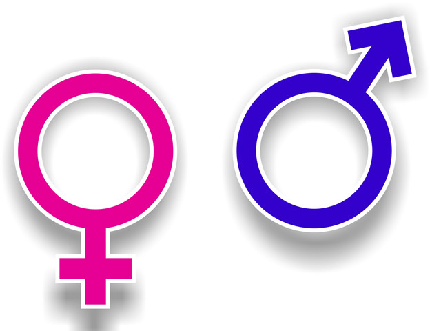 women demand equality not preferential treatment photo file women demand equality not preferential treatment photo file