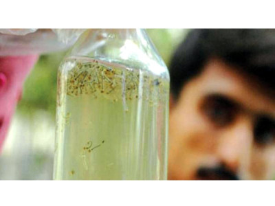 dengue control strict action against negligent officials