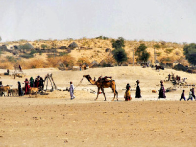 common practice the nomads of thar move regardless of drought
