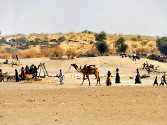 the nomads of tharparkar migrate twice in the year to adjoining areas during sowing and harvesting seasons despite relief goods being provided the tharis prefer to migrate in order to earn a living rather than depending on the government photo online the nomads of tharparkar migrate twice in the year to adjoining areas during sowing and harvesting seasons despite relief goods being provided the tharis prefer to migrate in order to earn a living rather than depending on the government photo online