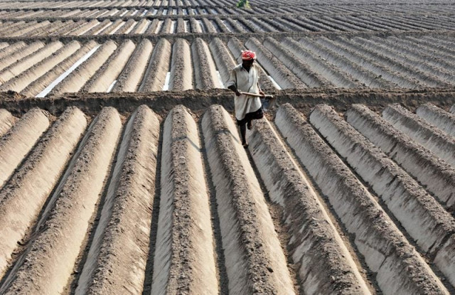 the plan is to develop genetic modification expertise for producing high yield pest resistant crops photo afp file the plan is to develop genetic modification expertise for producing high yield pest resistant crops photo afp file
